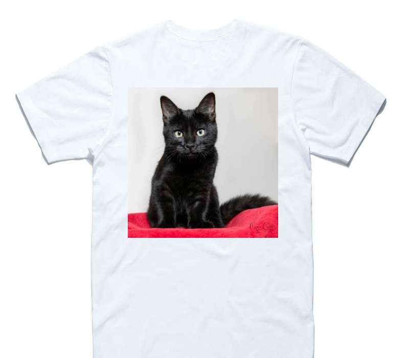 Custom AS Colour 100% Cotton White T-Shirt