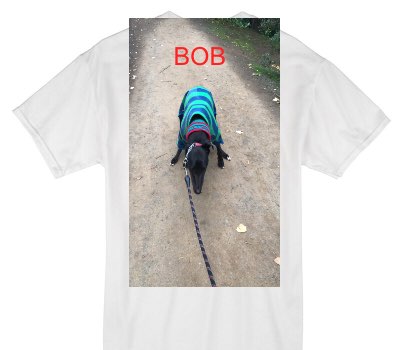 Custom Gildan 100% Cotton White T-Shirt