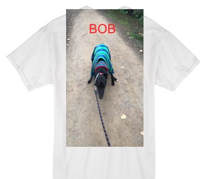 Custom Gildan 100% Cotton White T-Shirt