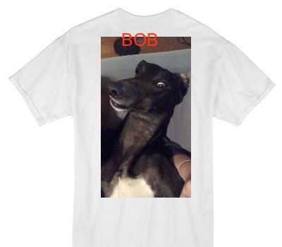 Custom Gildan 100% Cotton White T-Shirt