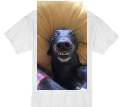 Custom Gildan 100% Cotton White T-Shirt