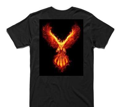 Custom AS Colour 100% Cotton Black T-Shirt
