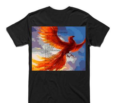 Custom AS Colour 100% Cotton Black T-Shirt