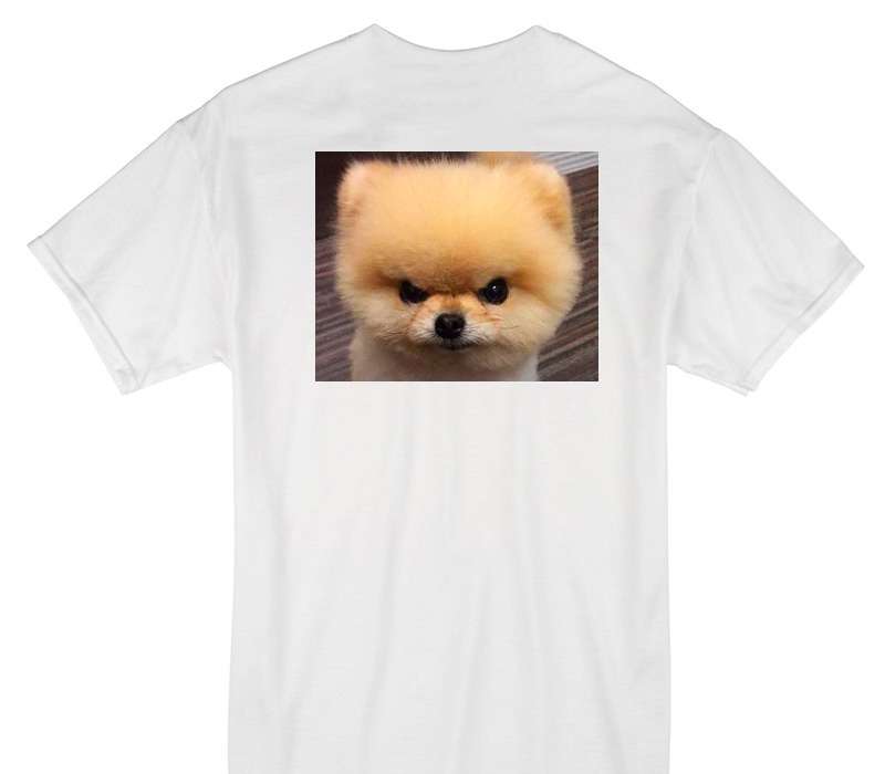 Custom Gildan 100% Cotton White T-Shirt