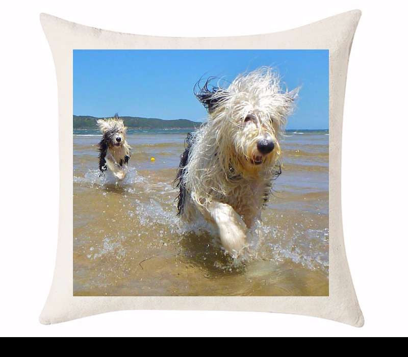 Custom Cushion Cover 50cm x 50 cm Off White