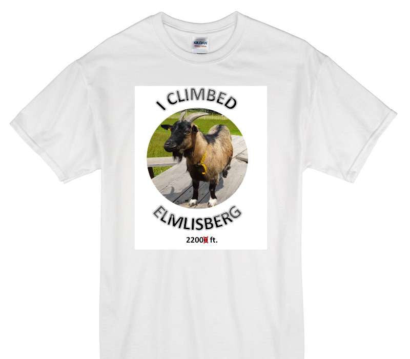 Custom Gildan 100% Cotton White T-Shirt