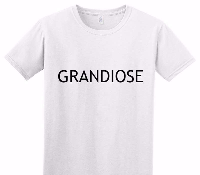 Custom Adult Soft Style 100% Cotton White T-Shirt