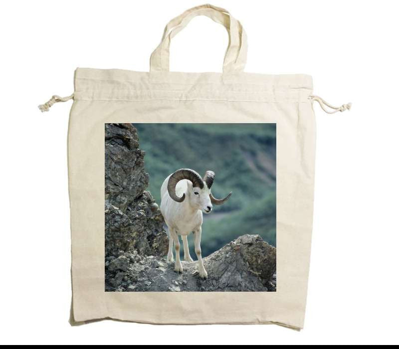 Custom Drawstring Tote Bag Cotton Calico