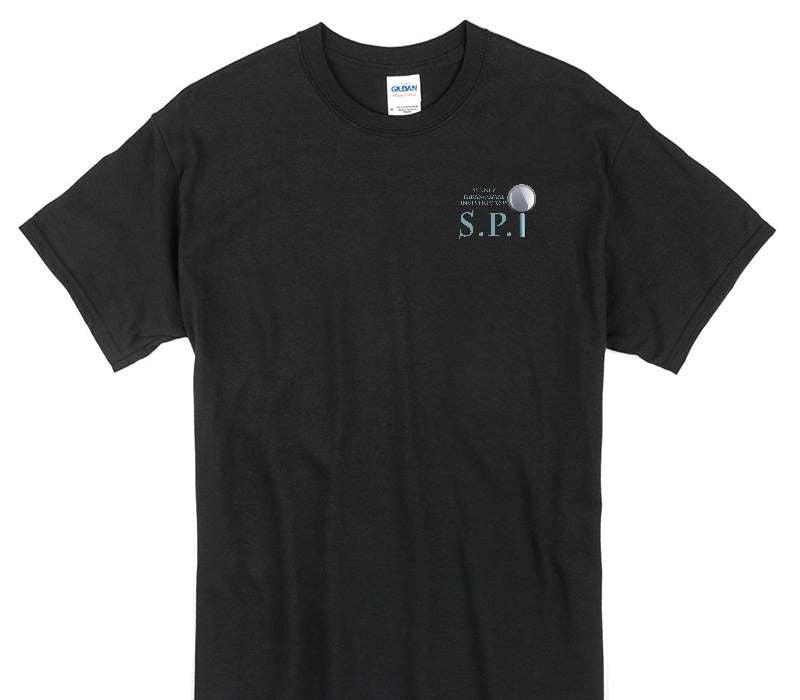 Custom Gildan 100% Cotton Black T-Shirt
