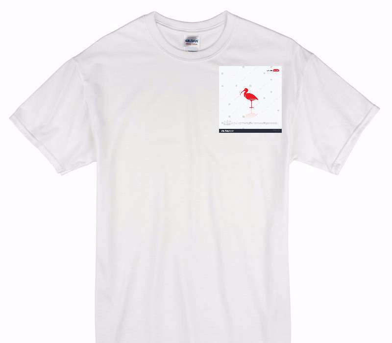 Custom Gildan 100% Cotton White T-Shirt