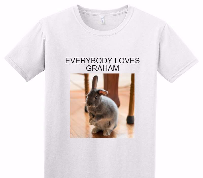 Custom Adult Soft Style 100% Cotton White T-Shirt