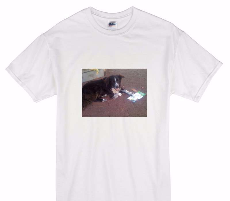 Custom Gildan 100% Cotton White T-Shirt