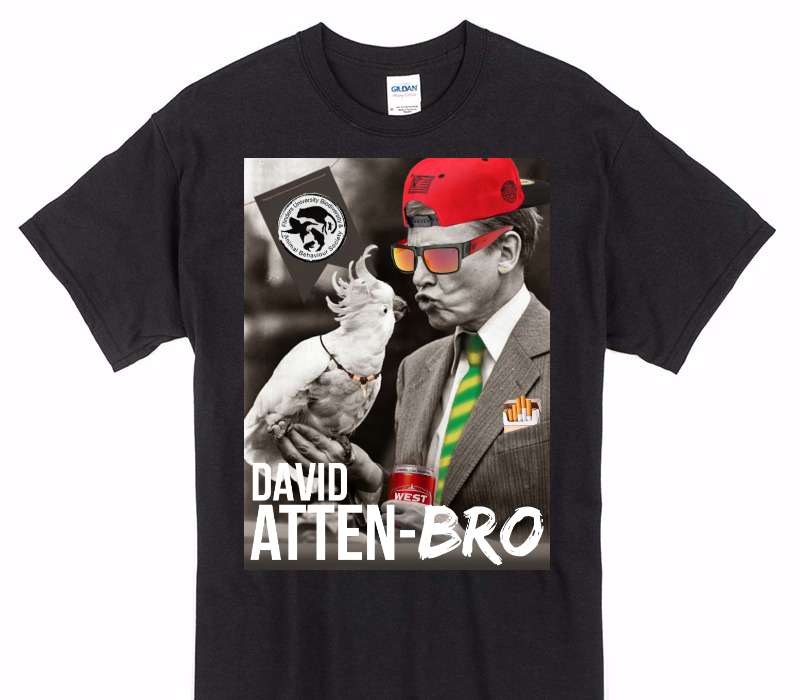 Custom Gildan 100% Cotton Black T-Shirt