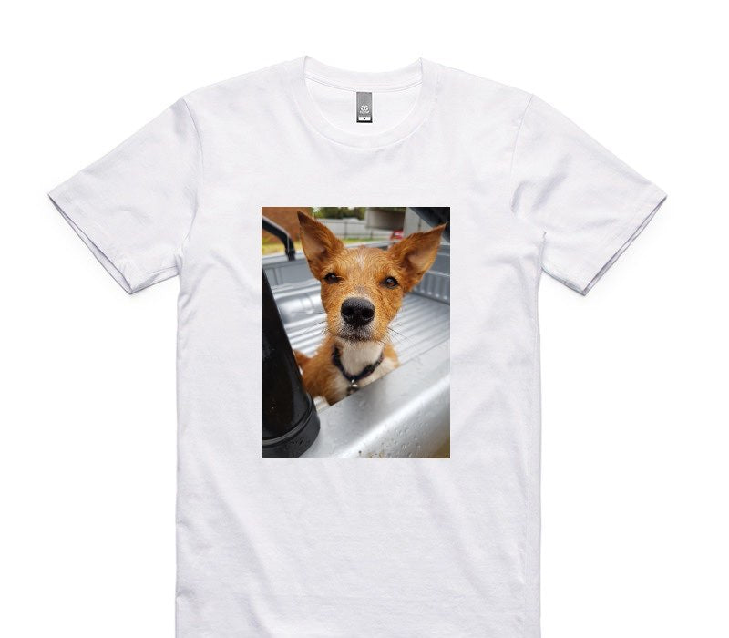 Custom AS Colour 100% Cotton White T-Shirt