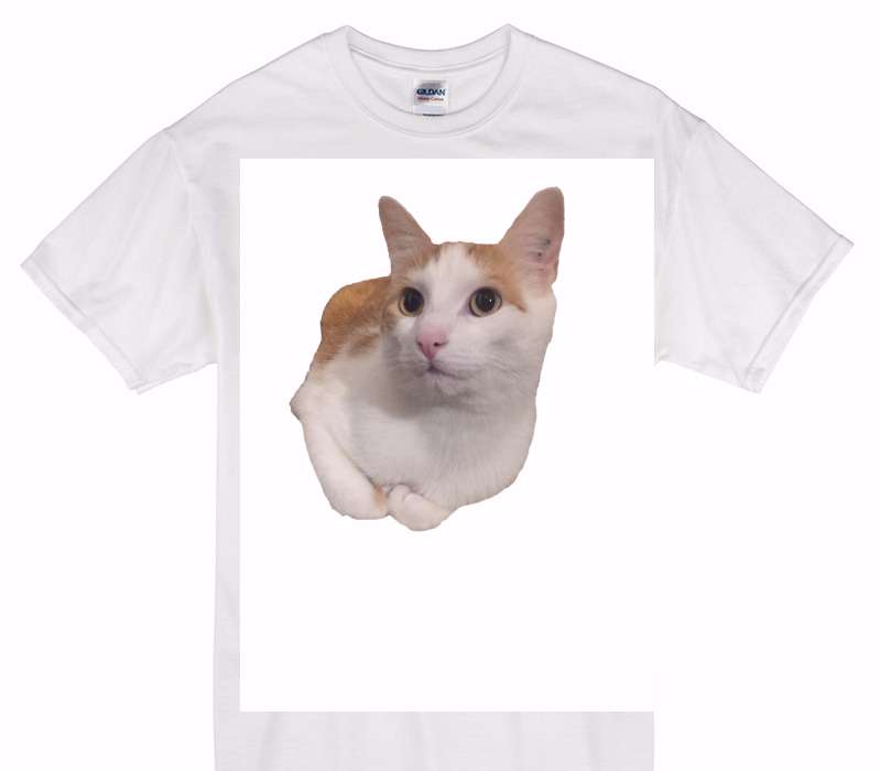 Custom Gildan 100% Cotton White T-Shirt