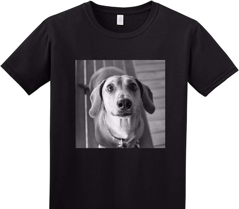 Custom Adult Soft Style 100% Cotton Black T-Shirt