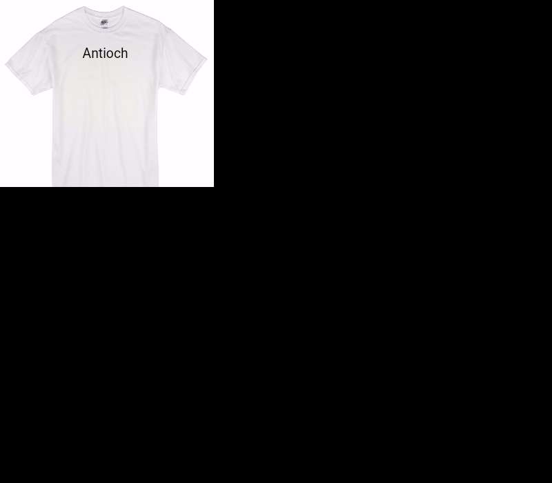 Custom Gildan 100% Cotton White T-Shirt