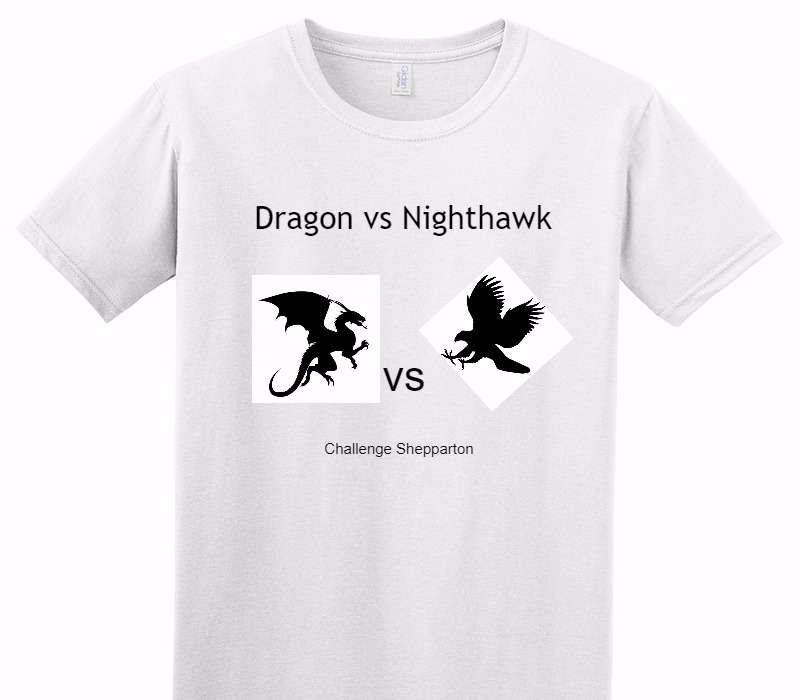 Custom Adult Soft Style 100% Cotton White T-Shirt