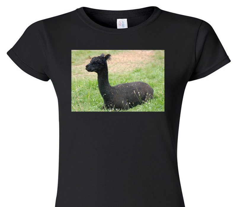 Custom Womens Soft Style 100% Cotton Black T-Shirt