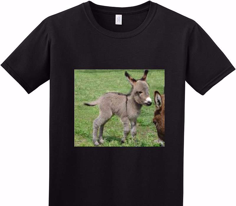 Custom Adult Soft Style 100% Cotton Black T-Shirt