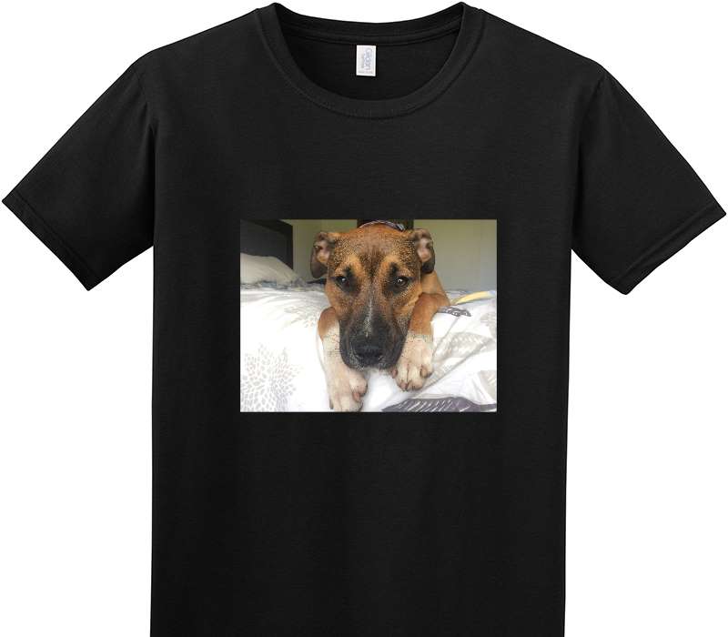 Custom Adult Soft Style 100% Cotton Black T-Shirt