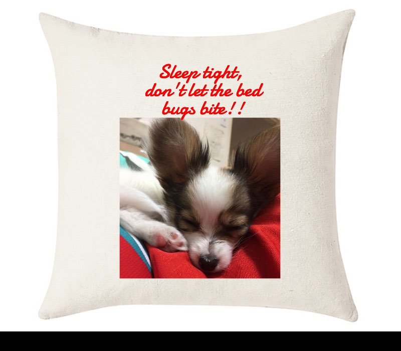 Custom Cushion Cover 50cm x 50 cm Off White