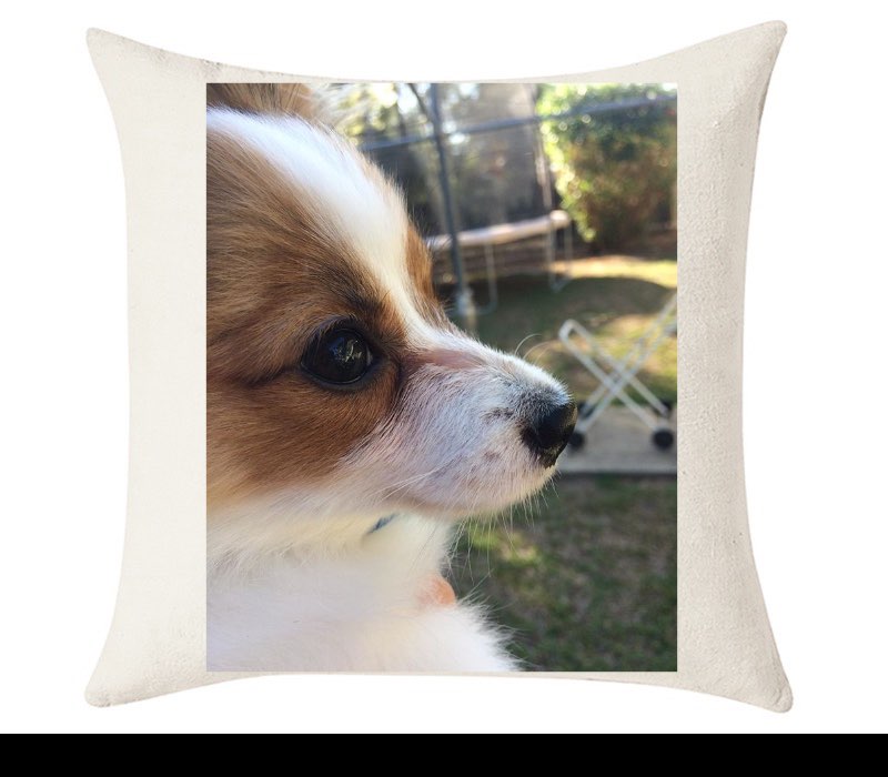 Custom Cushion Cover 50cm x 50 cm Off White