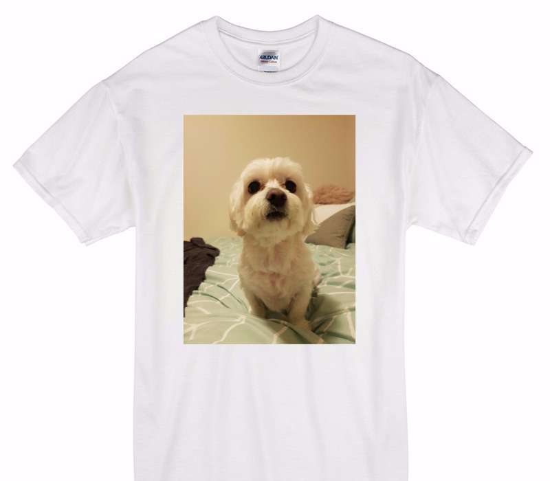 Custom Gildan 100% Cotton White T-Shirt