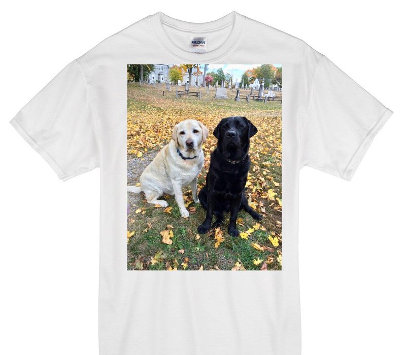 Custom Gildan 100% Cotton White T-Shirt