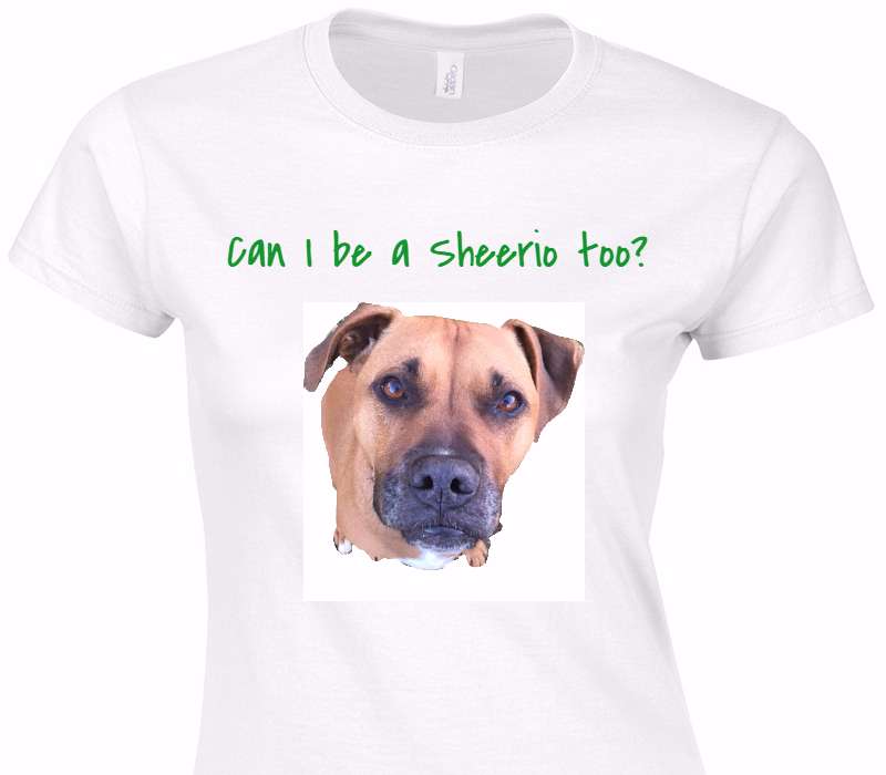Custom Womens Soft Style 100% Cotton White T-Shirt