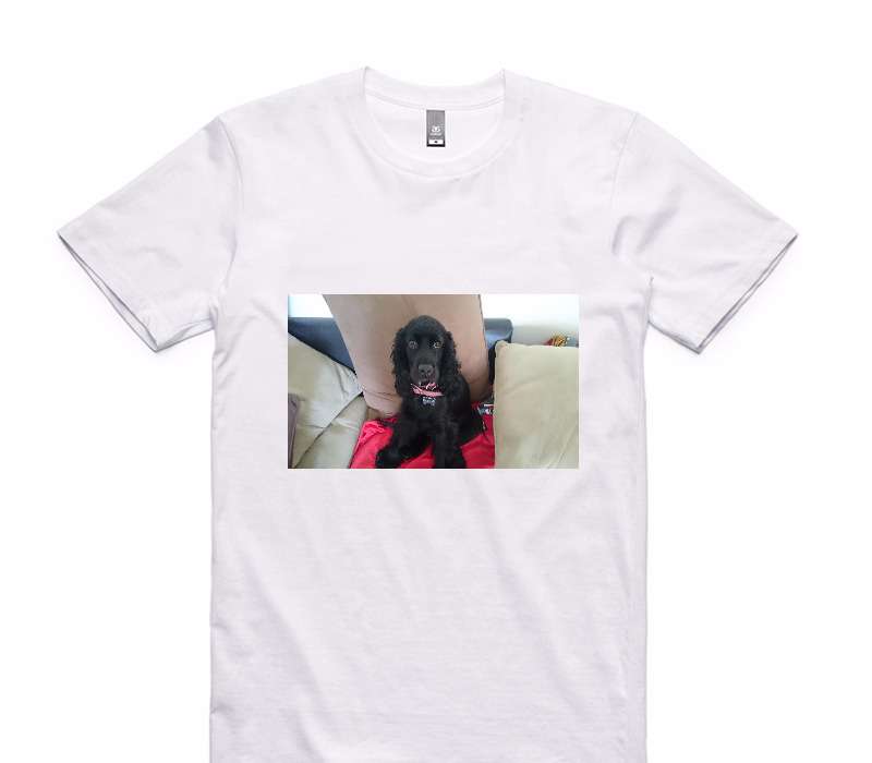 Custom AS Colour 100% Cotton White T-Shirt