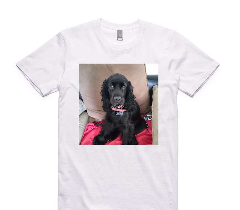 Custom AS Colour 100% Cotton White T-Shirt