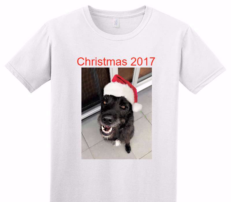 Custom Adult Soft Style 100% Cotton White T-Shirt