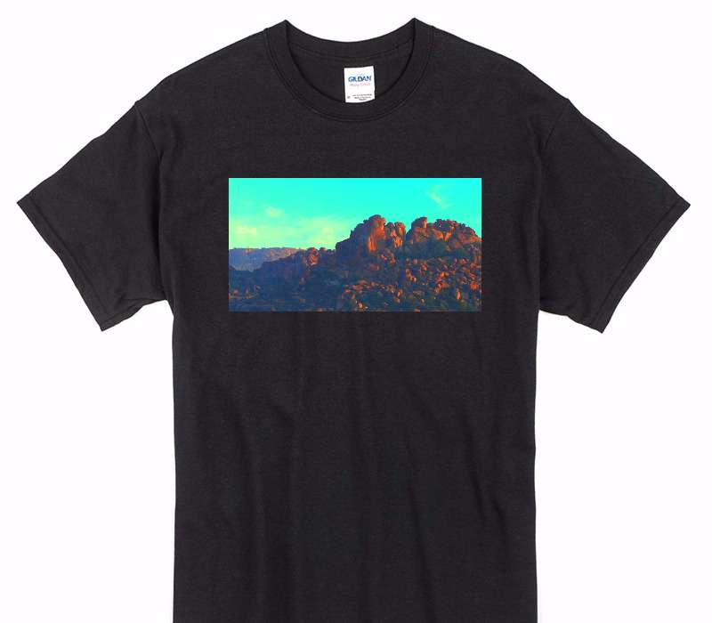 Custom Gildan 100% Cotton Black T-Shirt