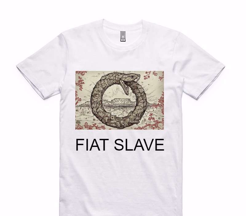 Custom AS Colour 100% Cotton White T-Shirt