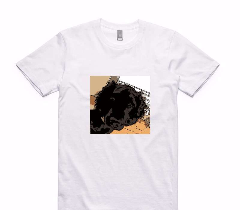 Custom AS Colour 100% Cotton White T-Shirt