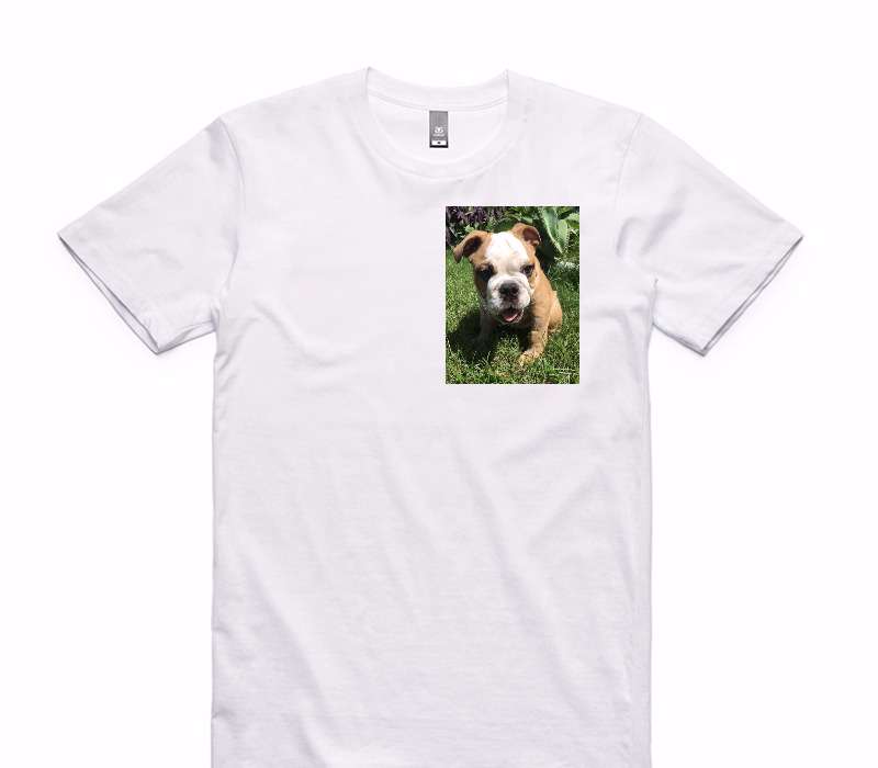 Custom AS Colour 100% Cotton White T-Shirt