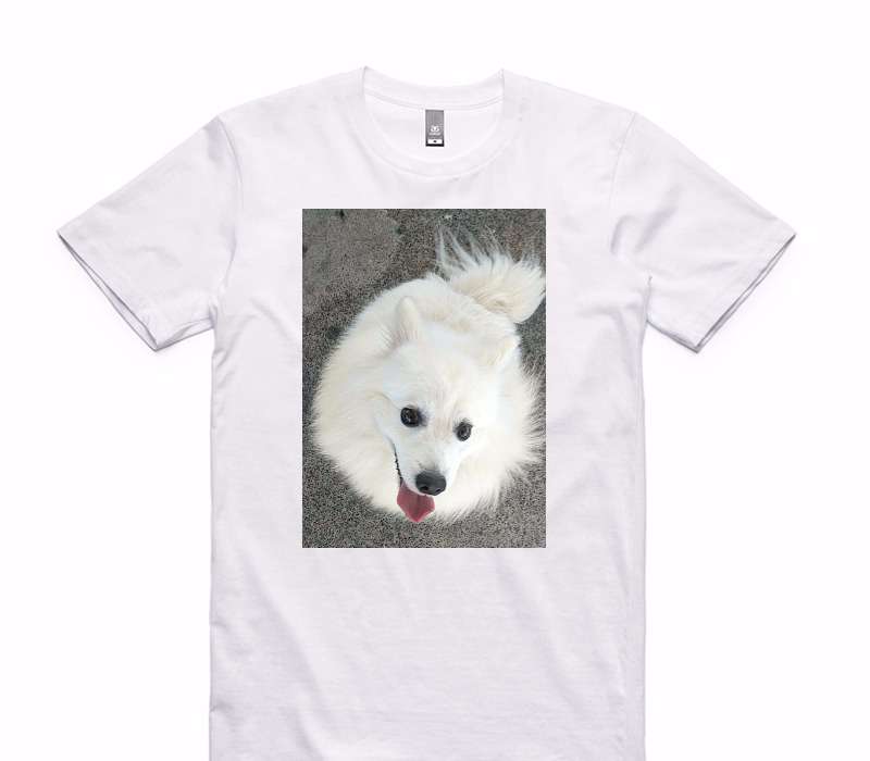 Custom AS Colour 100% Cotton White T-Shirt