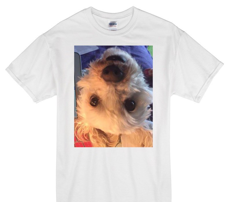 Custom Gildan 100% Cotton White T-Shirt