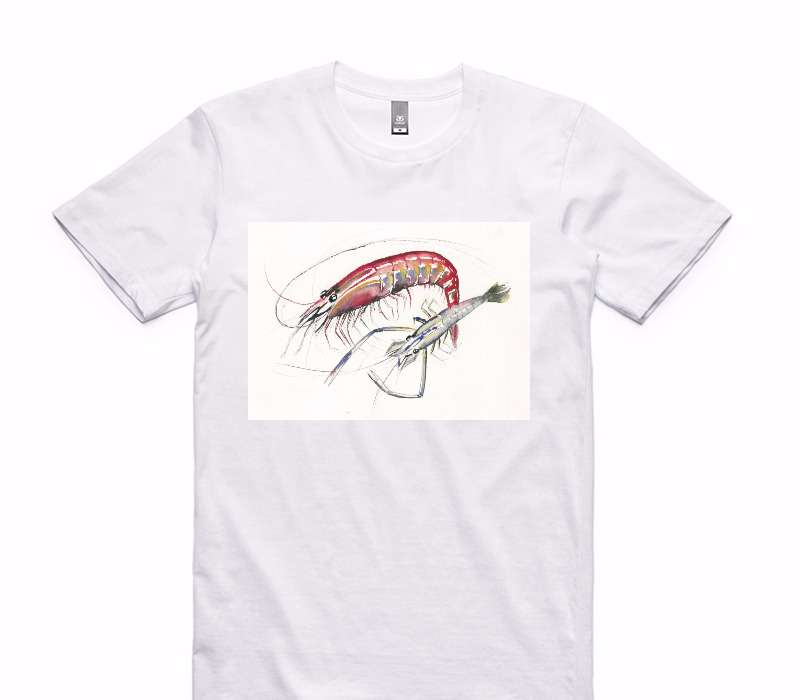 Custom AS Colour 100% Cotton White T-Shirt
