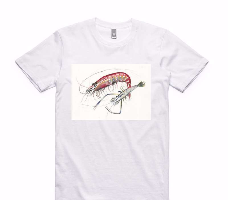 Custom AS Colour 100% Cotton White T-Shirt