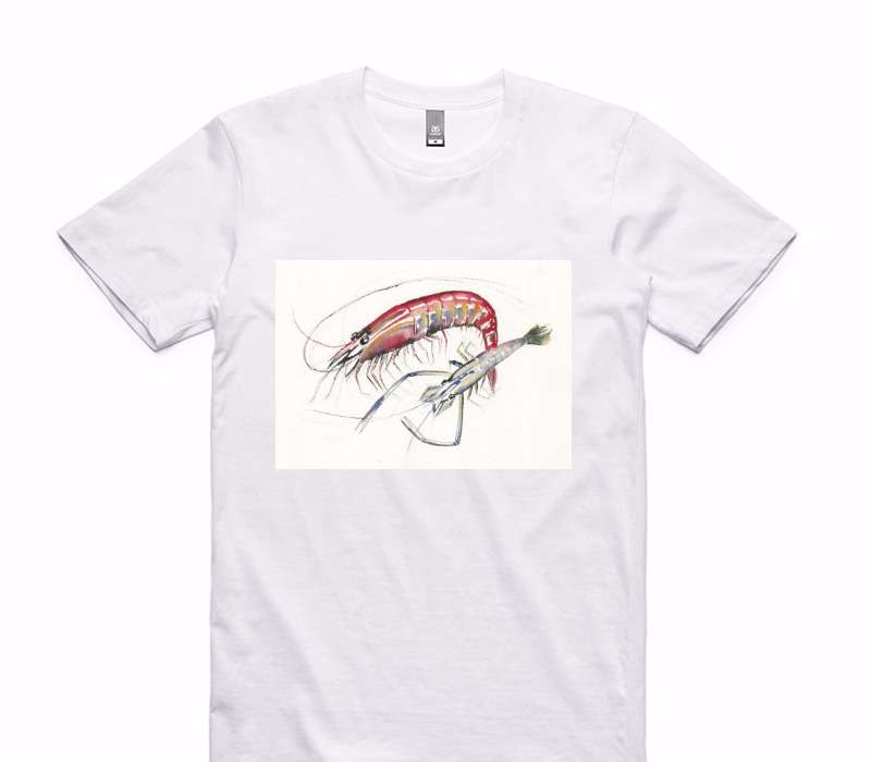 Custom AS Colour 100% Cotton White T-Shirt