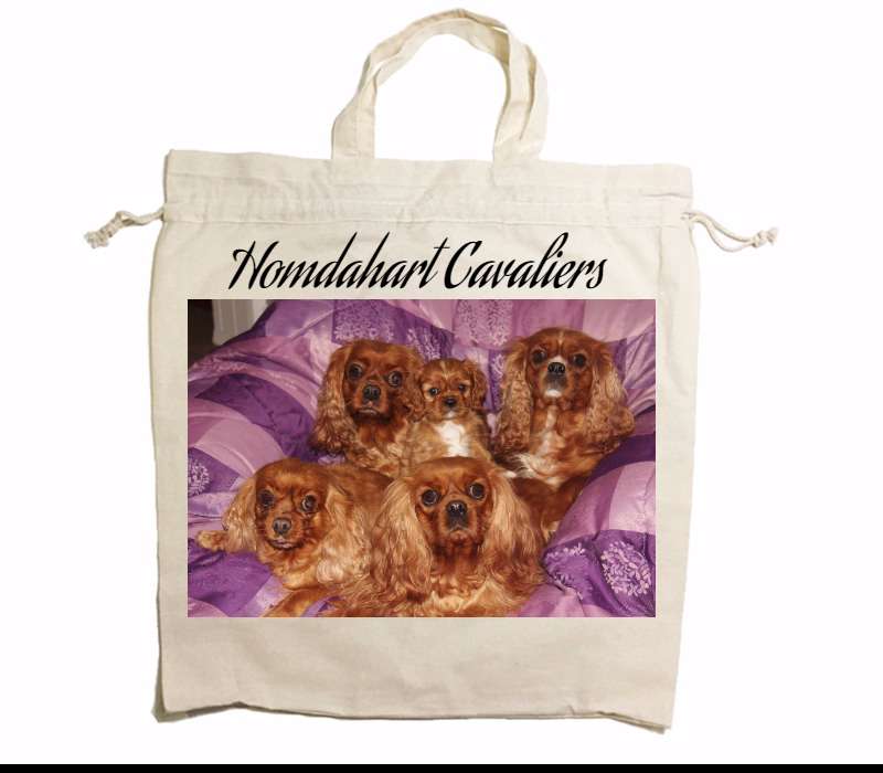 Custom Drawstring Tote Bag Cotton Calico