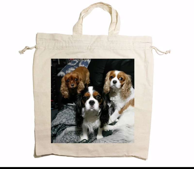 Custom Drawstring Tote Bag Cotton Calico