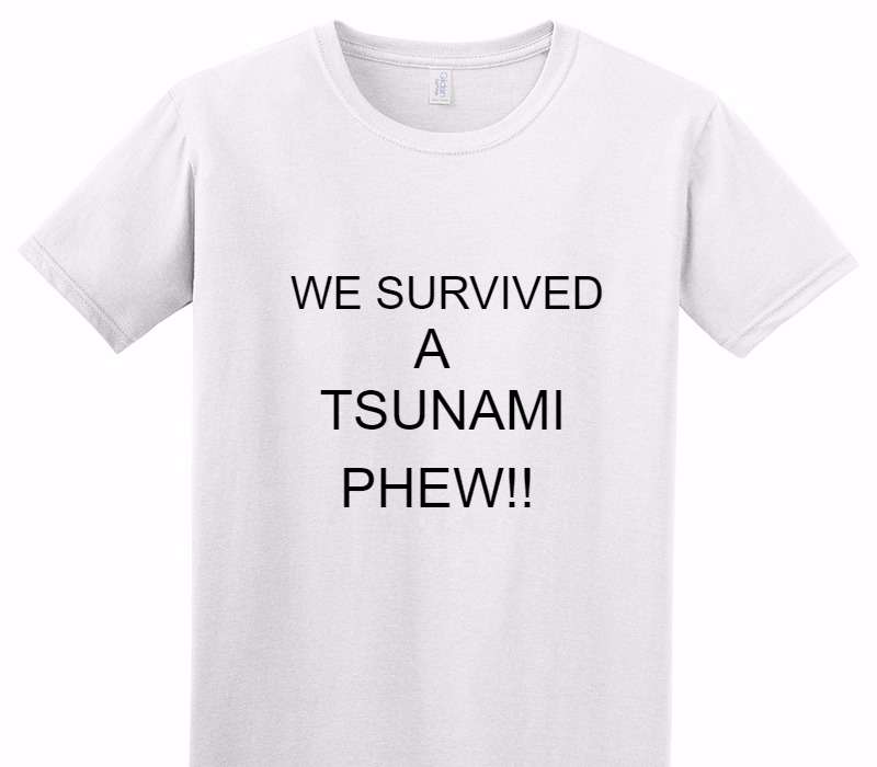 Custom Adult Soft Style 100% Cotton White T-Shirt