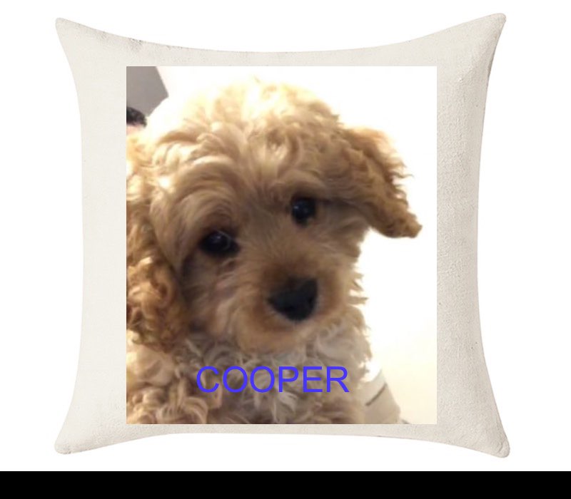 Custom Cushion Cover 50cm x 50 cm Off White