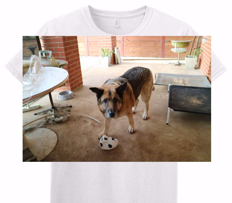 Custom Adult Soft Style 100% Cotton White T-Shirt