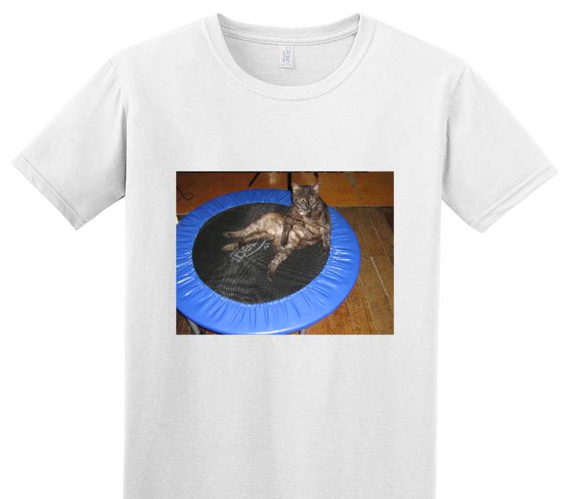 Custom Adult Soft Style 100% Cotton White T-Shirt