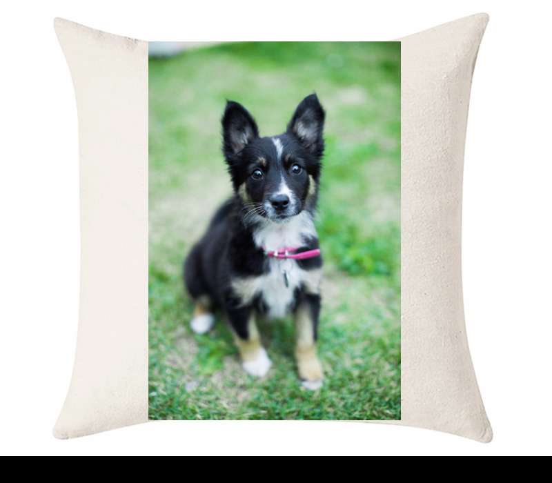 Custom Cushion Cover 50cm x 50 cm Off White