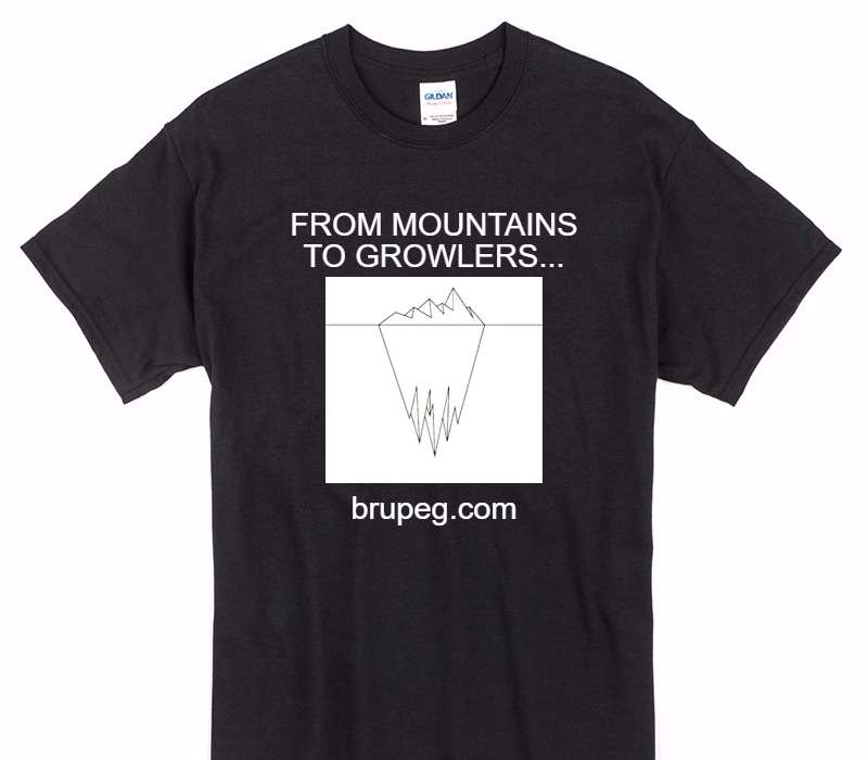 Custom Gildan 100% Cotton Black T-Shirt